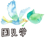 園見学